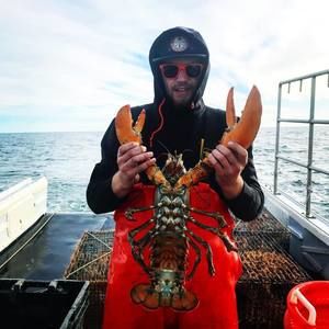 Meet your Posher, Christopher